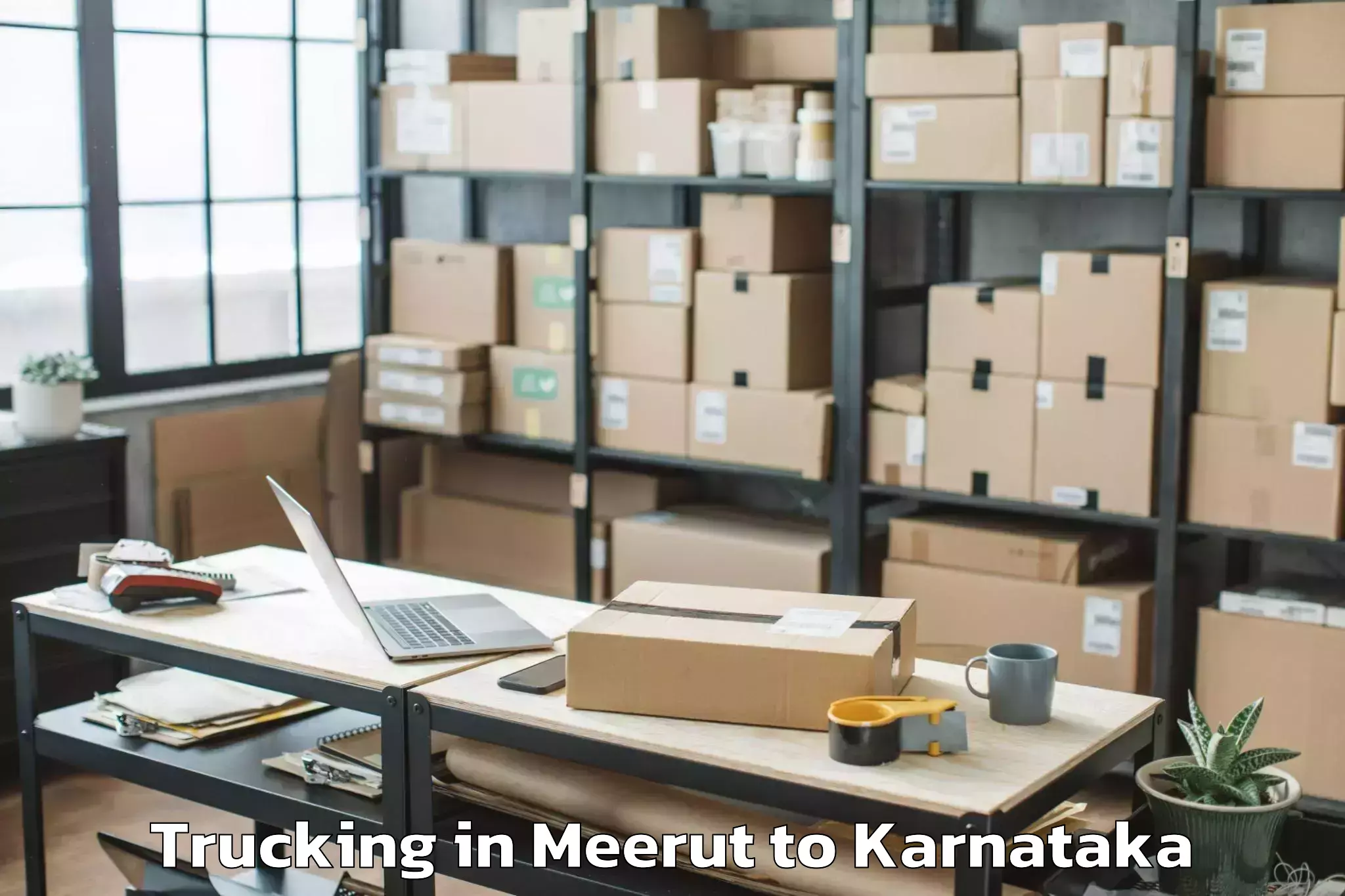 Leading Meerut to Honnali Trucking Provider